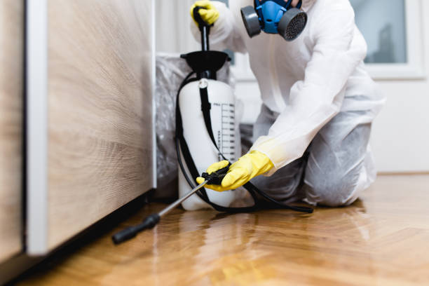 Best Best Pest Control Companies  in Poplar Plains, CT
