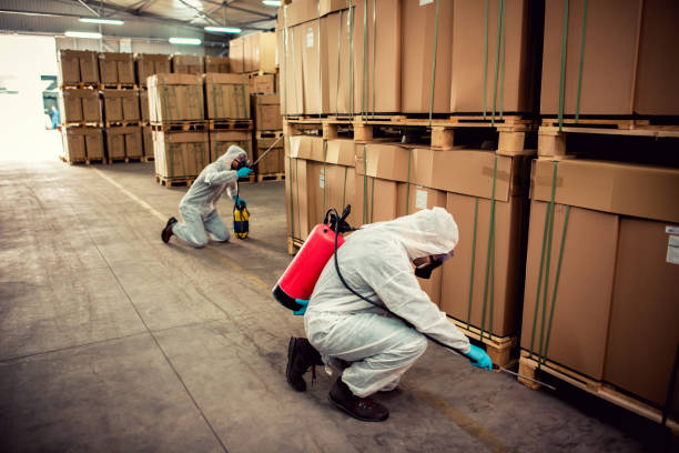 Best Pest Control Cost  in Poplar Plains, CT