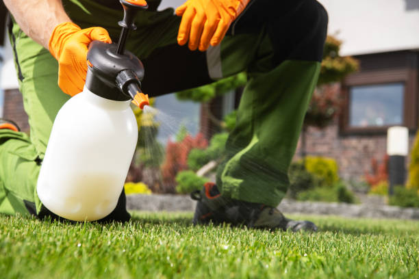 Best Residential Pest Control  in Poplar Plains, CT