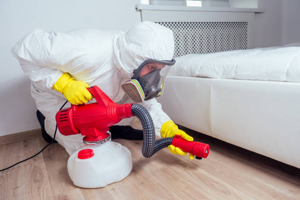 Best Pest Control Near Me  in Poplar Plains, CT