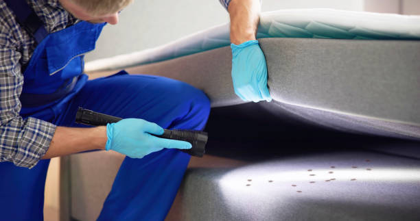 Best Pest Removal Services  in Poplar Plains, CT